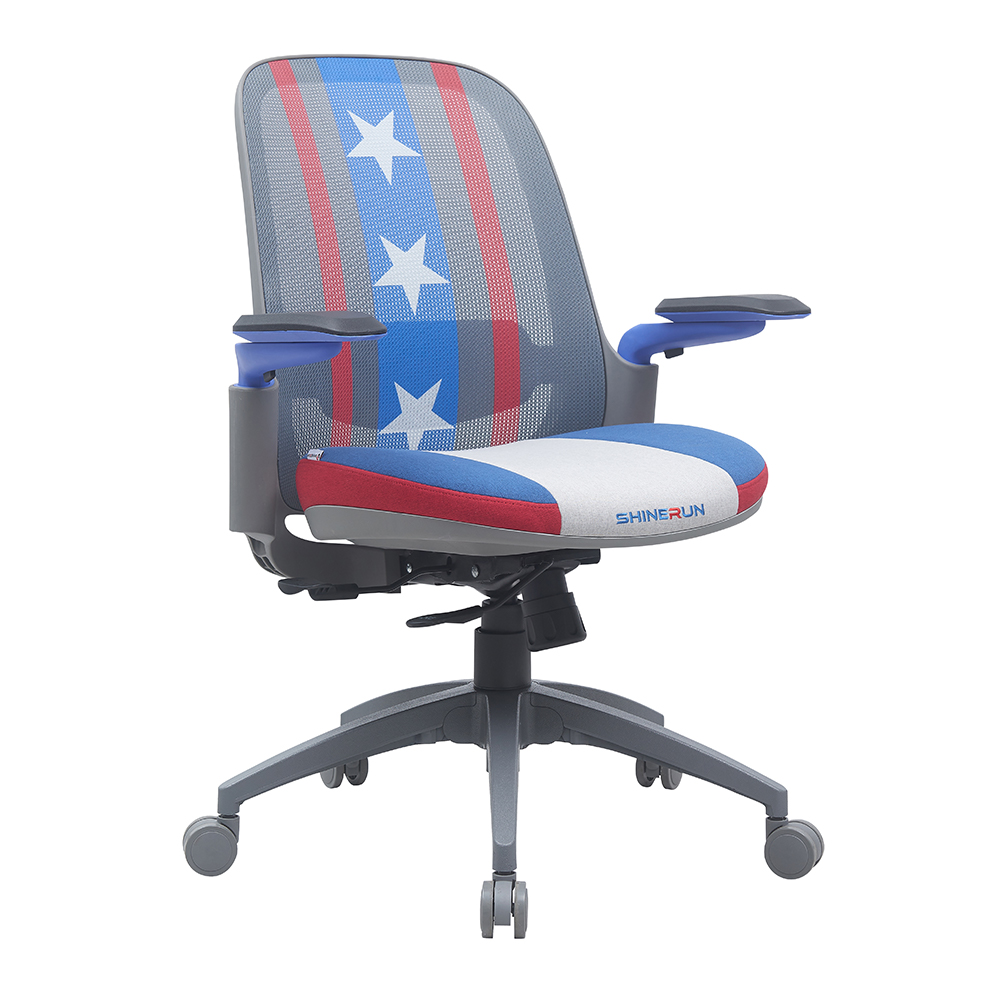 2024 New Model Office Chair Ergonomic Computer Chair with Lumbar Support