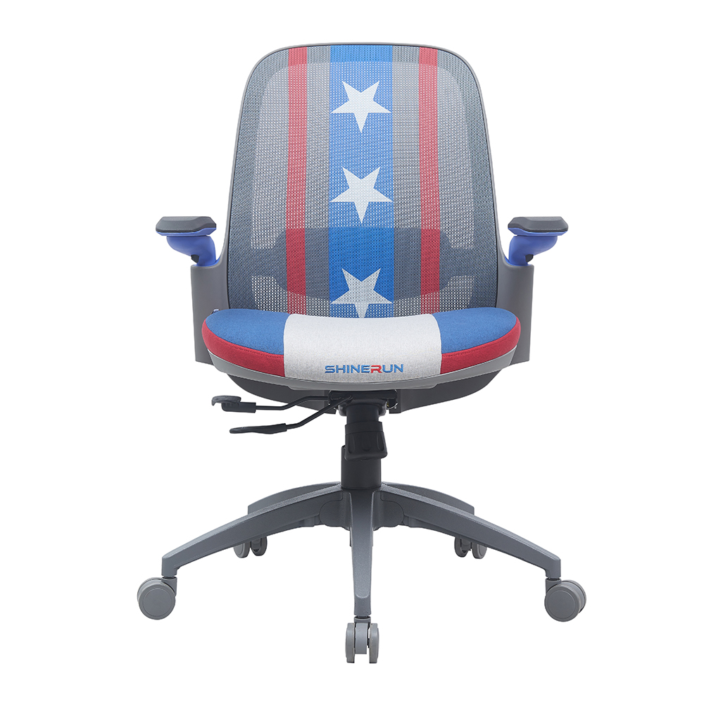 2024 New Model Office Chair Ergonomic Computer Chair with Lumbar Support