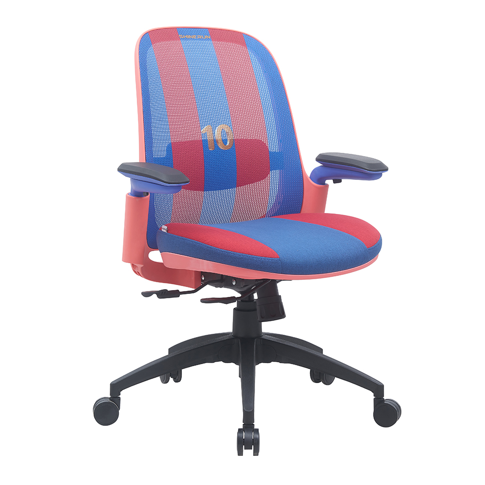 2024 New Model Office Chair Ergonomic Computer Chair with Lumbar Support