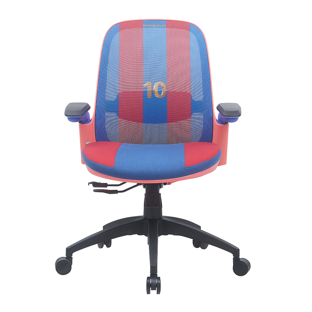 2024 New Model Office Chair Ergonomic Computer Chair with Lumbar Support