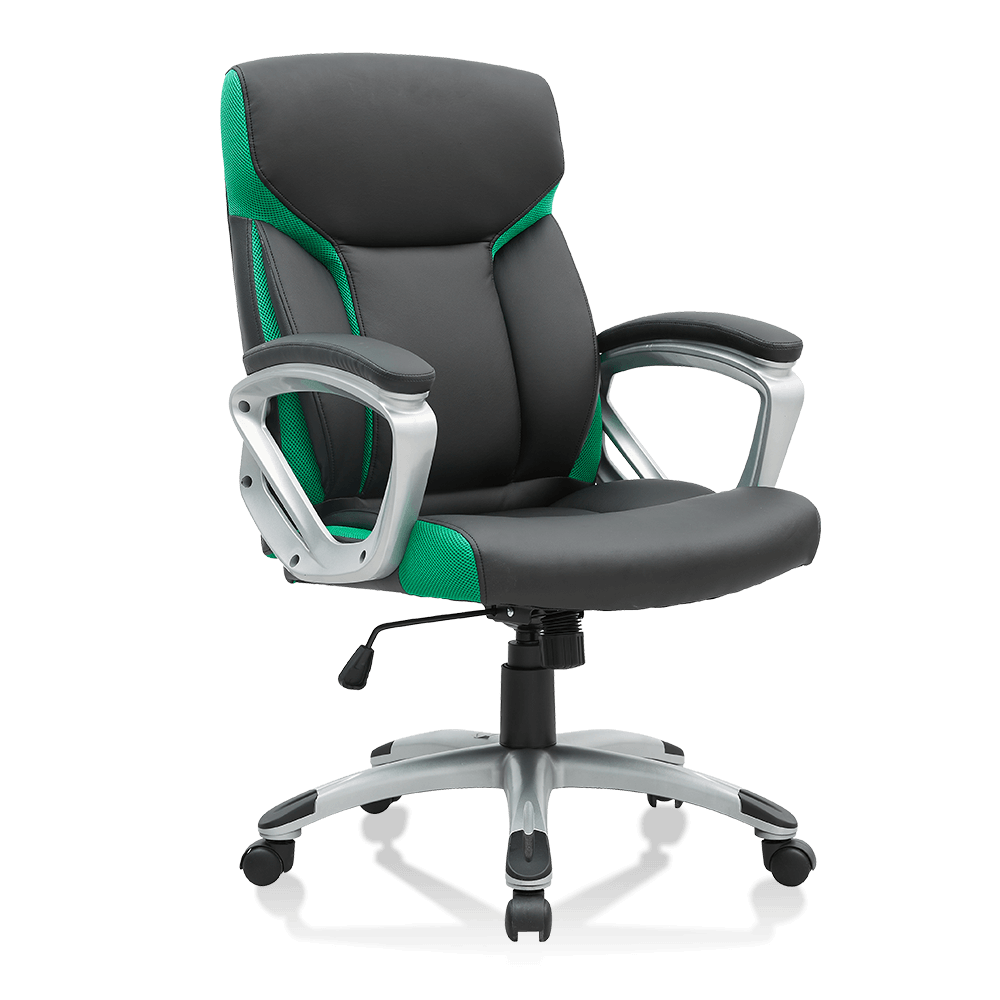 SHINERUN Executive Office Chair with Mid Back